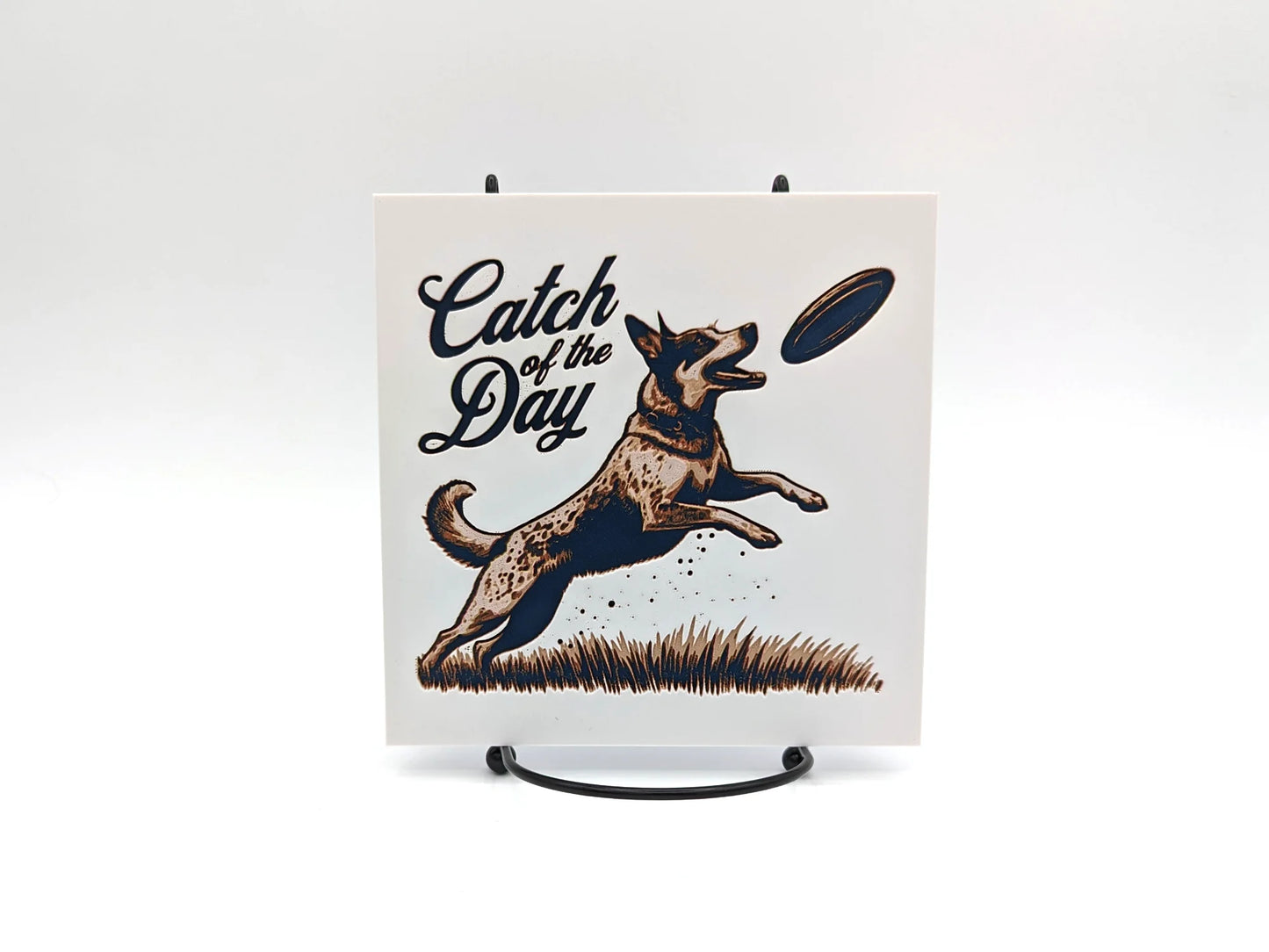 Fun Disc Dog Themed Sign for Desk or Shelf