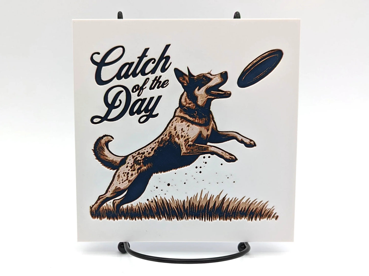 Fun Disc Dog Themed Sign for Desk or Shelf