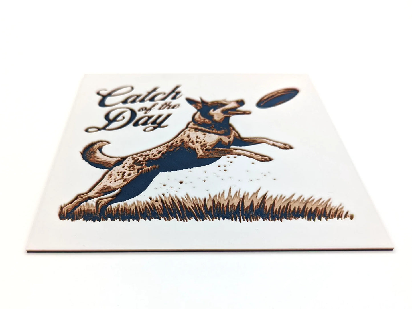 Fun Disc Dog Themed Sign for Desk or Shelf