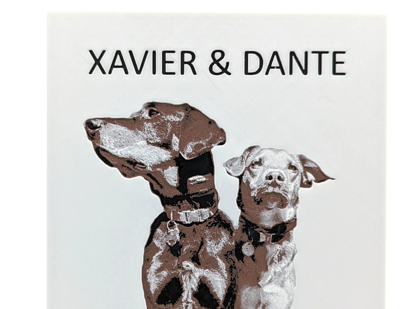 Custom 3D Pet Portrait