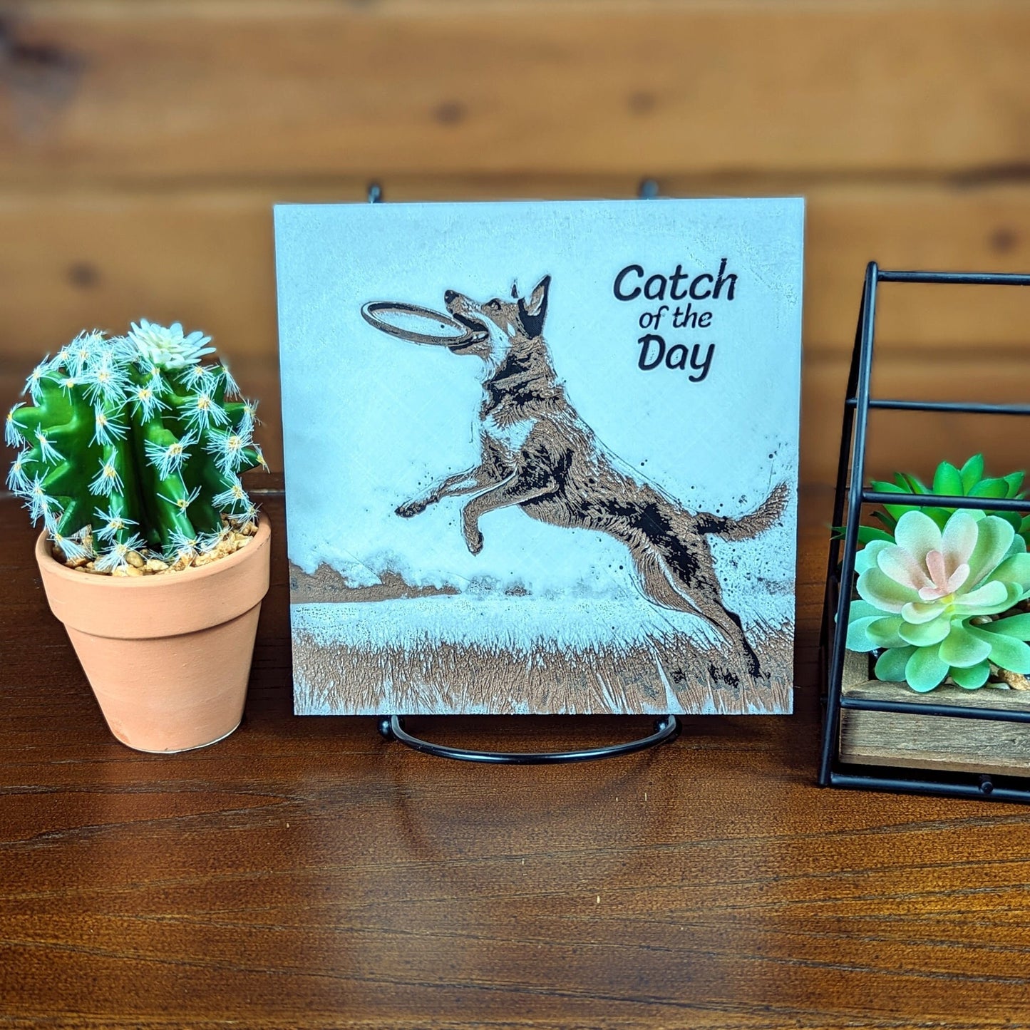 Disc Dog Themed "Catch of the Day" Desk/Wall Art