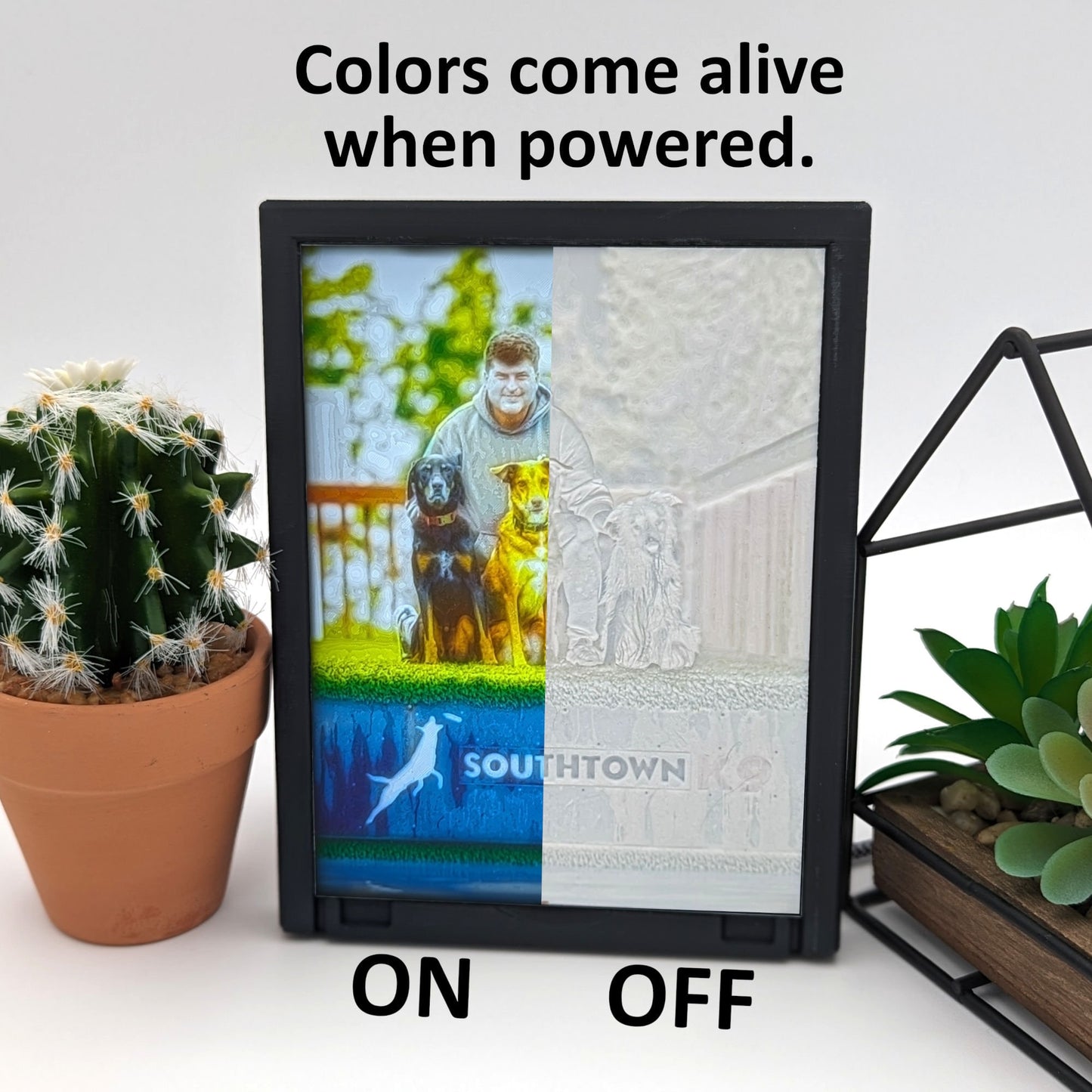 Custom Backlit Lithophane Display.