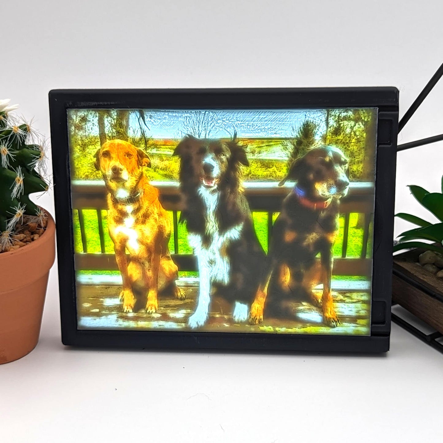 Custom Backlit Lithophane Display.