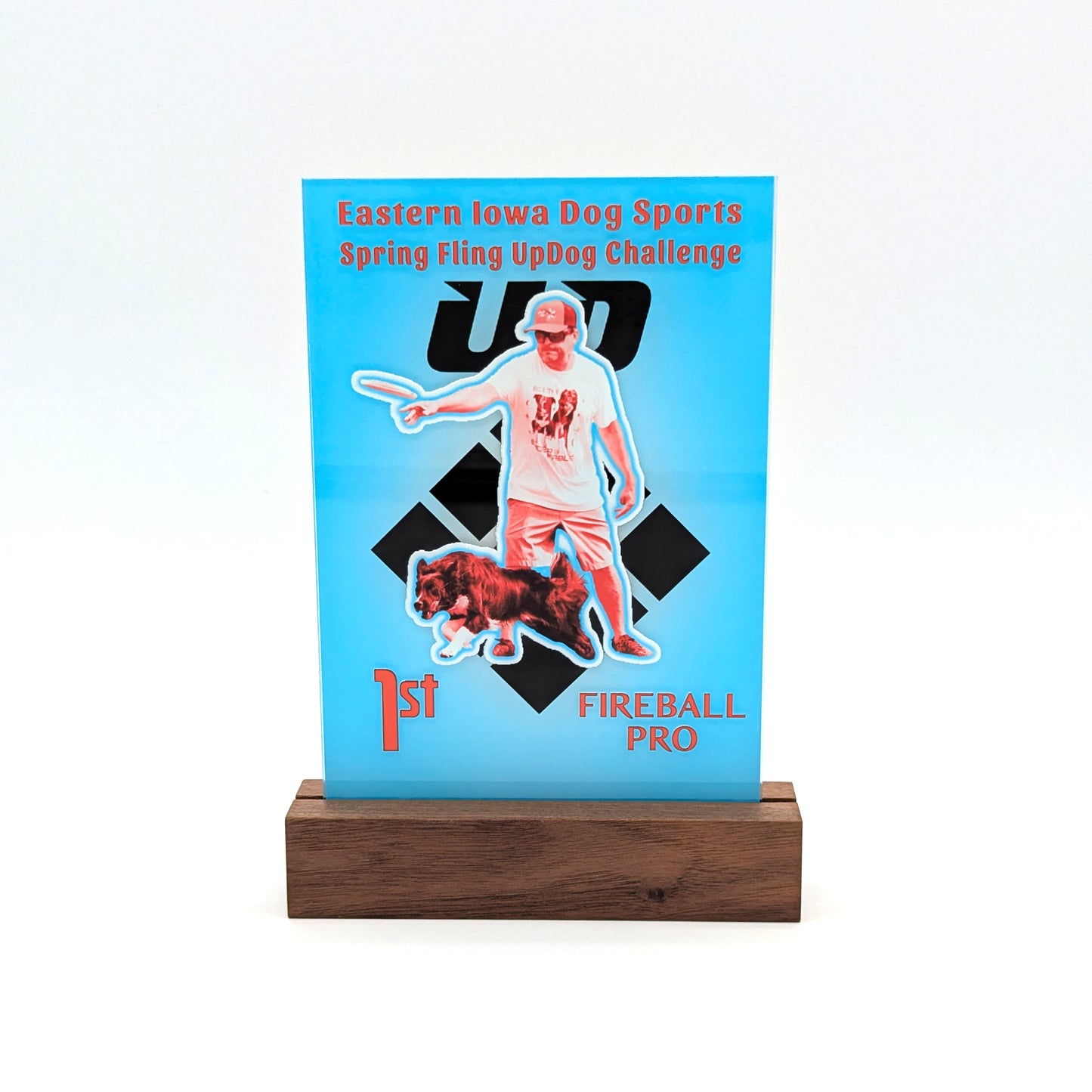 Custom Printed Acrylic Awards