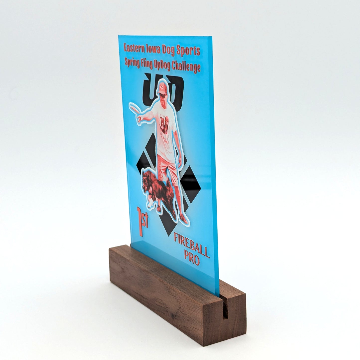 Custom Printed Acrylic Awards