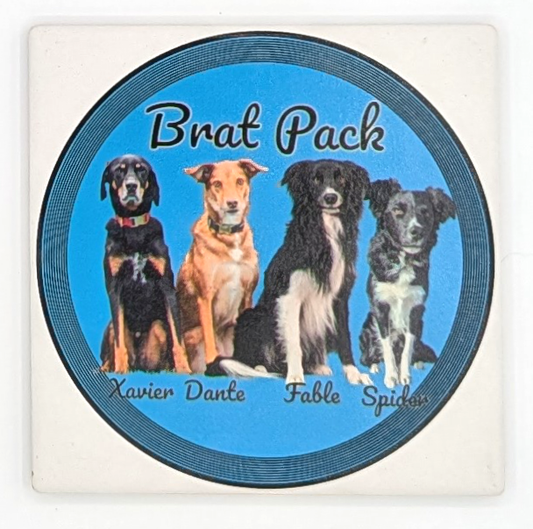 Custom Ceramic Coasters