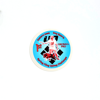 Custom Printed Award Discs